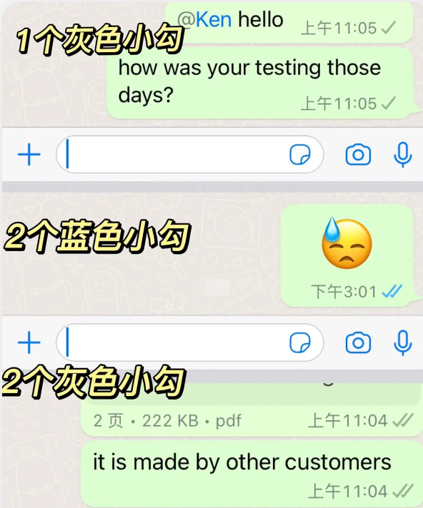 whatsapp国际版2025