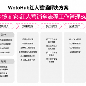 TikTok榜单数据13国权覆盖，WotoHub海外红人营销SaaS全链路控场