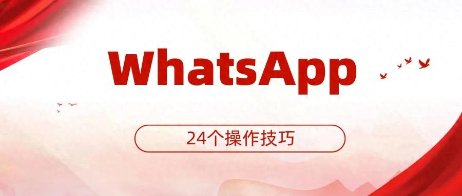 WhatsApp最新24个操作技巧，让你快速从入门到精通（上篇）