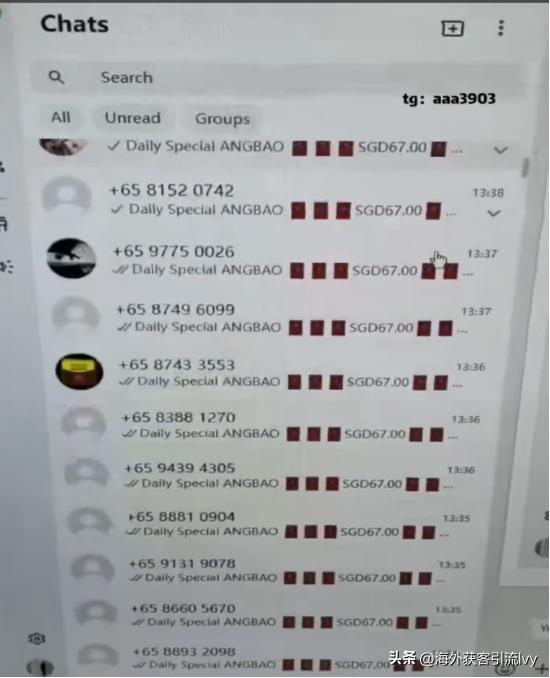 最全的whatsapp群发使用指南