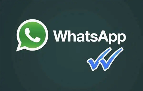 whatsapp官网版