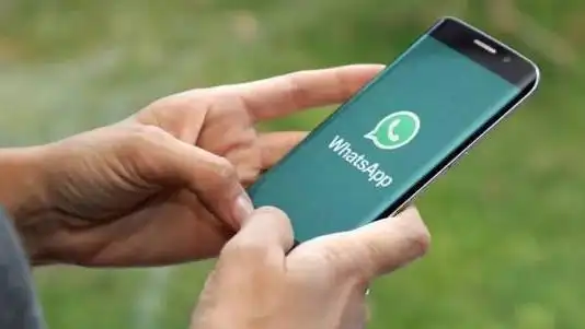WhatsApp_Meta信息泄露事件_WhatsApp用户信息泄露