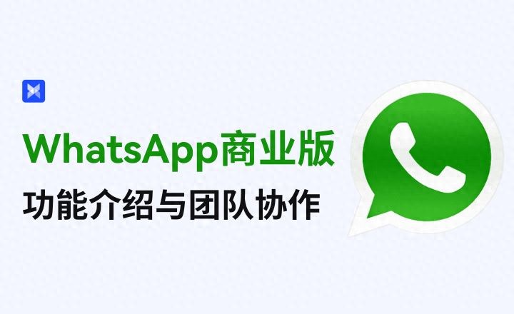 用好WhatsApp Business，获客效率翻倍！