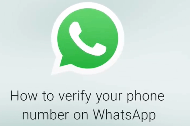 whatsapp2024官网下载