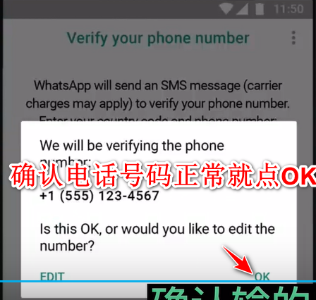 whatsapp2024官网下载