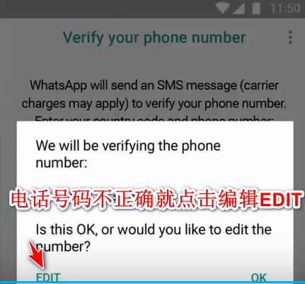 whatsapp2024官网下载