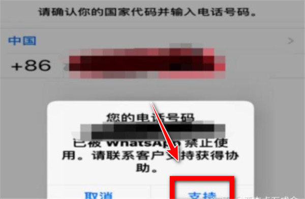 WhatsApp官方下载2025