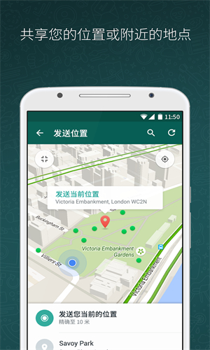 whatsapp最新版本安卓