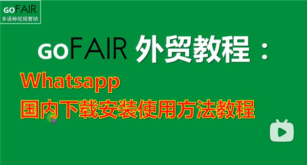 whatsapp手机最新版本下载
