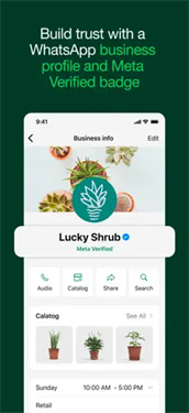 WhatsApp Business怎么注册账号