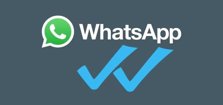 WhatsApp一个小灰勾是什么意思？8种勾勾标志全面解读