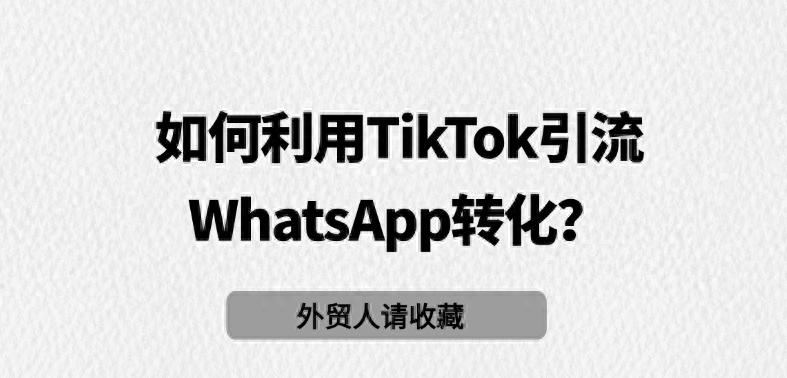 海外私域玩法：如何利用TikTok引流WhatsApp转化？